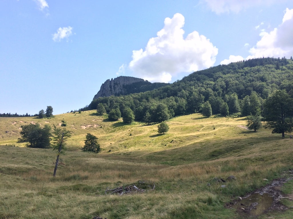 Crete-du-coq-Maramures