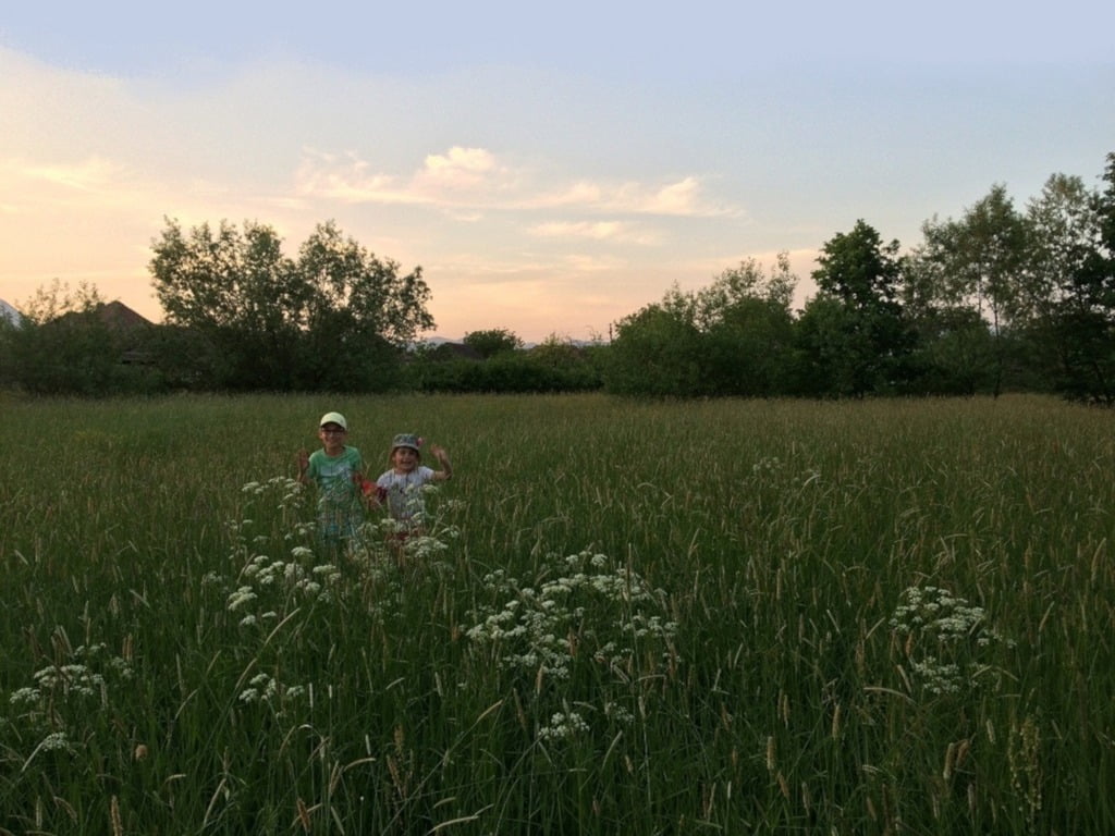 Camping Noroc — photo 4