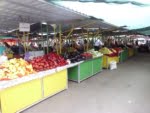 Marche-Baia-mare