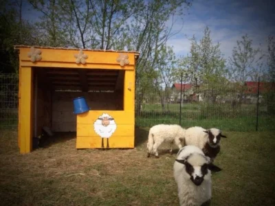 Moutons