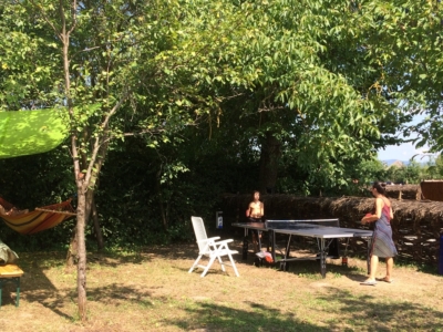 Table-de-ping-pong