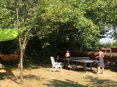 Table-de-ping-pong