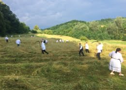fete-des-foins-Maramures