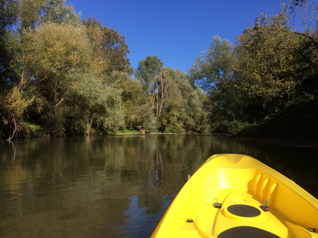 kayak-sur-la-riviere-lapus-roumanie