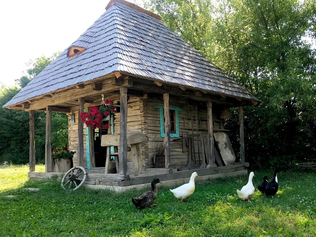 Maison en bois et canards du camping